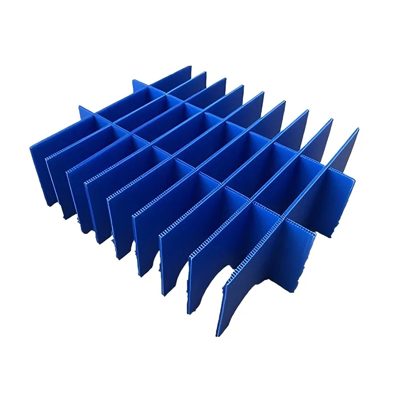 PP cavum dividens Board