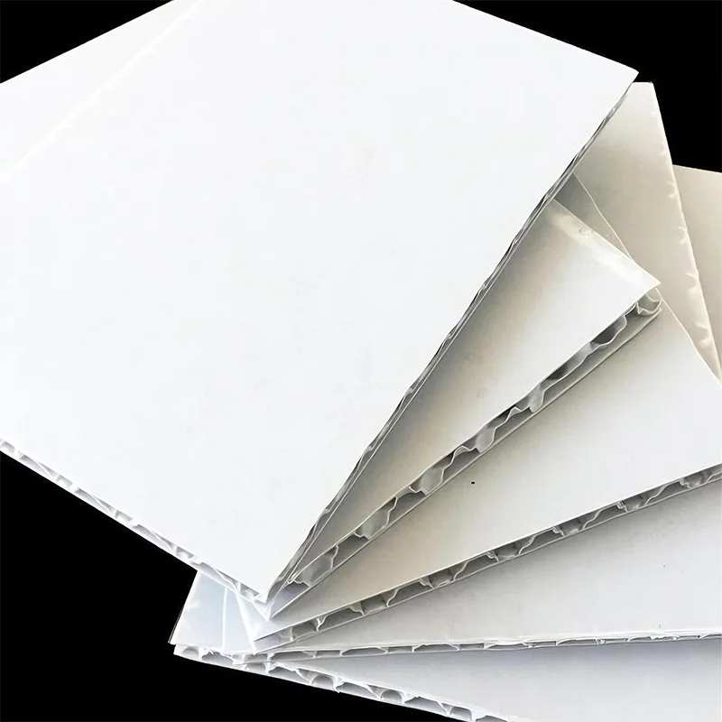 Eculeo PP cavum Sheet